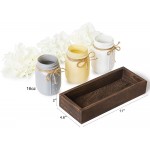 Dahey Decorative Mason Jar Centerpiece Wood Tray with Artificial Flowers Rustic Country Farmhouse Decor for Herb Plants Home Coffee Table Dining Room Living Room Kitchen Garden - BFAOGDTBP