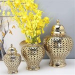 Ginger Jar Carved Lattice Decorative Temple Jar Ceramic White Ginger Jars for Home Decor Color : Gold Size : Small - BBTHDVI32