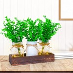 Hooqict Lights Mason Jar Centerpiece Decorative Wood Tray with Artificial Eucalyptus Remote Control LED Fairy Lights Rustic Country Farmhouse Home Decor for Herb Plants Coffee Table Dining Room Living Room Bedroom Kitchen - BVD93A5MV