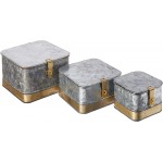 Creative Co-Op DF2376 Decorative Galvanized Lids & Brass Accents Set of 3 Sizes Metal Boxes Silver - BJM146BPS