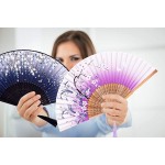 meifan Hand Held Folding Fans Chinese Japanese Vintage Retro Style Hand Fans for Festival Dance Gift Performance Decorations 2 Pack Black Violet - B5VF83N2I