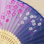 noren Japanese Traditional Hand Fan for Woman for Ladies Decorative Folding Fans Hand Fans Foldable Branch Cherry Blossoms - BSGLT3FAE