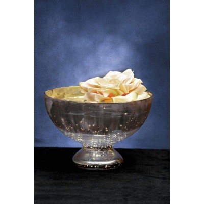 Richland Bowl Glass Pedestal Silver Mercury 7.25" - BSCZX7K6B