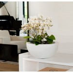 White Sleek Decorative Bowl 7H x 15W - BYSKGJRIO