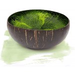 WiseArt Lacquer coconut bowl with wave pain Green - BG3SCGFL4