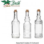 BULK PARADISE Assorted Clear Glass Bottles with Corks 6 Pack 2.5in X 9in 16oz - BJZ07Z7QM
