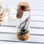 Clear Mini Glass Jars Wishing Bottles with Cork Stoppers 25ml DIY herb Sand Art Small Decorative Glass Bottles Message Craft for Wedding Party Favors Pack of 10 - B3N1K6RB5