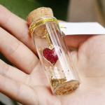 Cute Romantic Gifts for Her Women Couples Let the Adventure Begin Tiny Bottle Decorative Heart in a Bottle Decorative Bottle Mini Wish Jar with Message Gift for Wedding Valentines Birthday - B566VD959