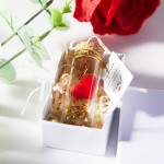 Cute Romantic Gifts for Him Her Red Heart in a Bottle Decorative Bottle Mini Wish Jar with Love Message Card Decorative Bottles I Love You Gift for Valentines Day Anniversary Birthday - BGINRPSXF