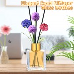 Diffuser Glass Bottles Set of 5 DIY Empty Clear Glass Fragrance Bottle with Gold Caps Reeds Sticks Vase Decorative Oil Diffusers for Home Office Desk Decoration Wedding Replacement Girl Women Gift - B5XHTKOCV