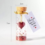 Heart in a Bottle Decorative Bottle Mini Cute Romantic Gifts for Him Her Wish Jar with Love Message Decorative Bottles I Love You More the End I Win Gift for Valentines Anniversary Birthday - BX8IG8QNQ