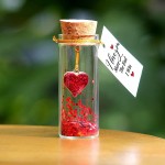 Heart in a Bottle Decorative Bottle Mini Cute Romantic Gifts for Him Her Wish Jar with Love Message Decorative Bottles I Love You More the End I Win Gift for Valentines Anniversary Birthday - BX8IG8QNQ