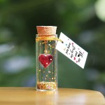 Heart in a Bottle Decorative Bottle Mini Cute Romantic Gifts for Him Her Wish Jar with Love Message Funny You Have My Heart Decorative Bottles Love Gift for Valentines Anniversary Birthday - BTHOWSXYH