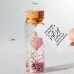 Heart in a Bottle Decorative Bottle Mini Cute Sister Gifts from Sister Wish Jar with Message Sisters are Always Close at Heart Tiny Bottle Decorative Gift for Best Friend Sisters Birthday Christmas - B7QIAUTSC