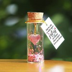 Heart in a Bottle Decorative Bottle Mini Cute Sister Gifts from Sister Wish Jar with Message Sisters are Always Close at Heart Tiny Bottle Decorative Gift for Best Friend Sisters Birthday Christmas - B7QIAUTSC