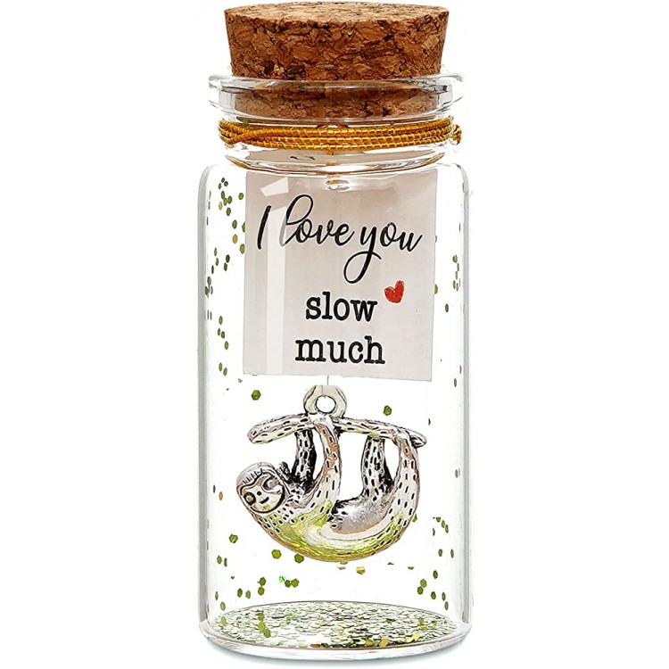 I Love You Sloth Much Decorative Bottle Funny Sloth Gift for Wife Husband Friends Girlfriend Boyfriend Sloth Lover Sloth Wish Jar Valentines Anniversary Birthday Gift for Woman Mother’s Day Gift, - BVQNL3YE7