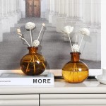 MyGift 5 inch Mid-Century Modern Amber Tinted Bulb Glass Decorative Diffuser Bottles Flower Bud Vases Set of 2 - B97348VU0