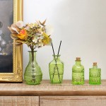 MyGift Vintage Embossed Green Glass Decorative Reed Diffuser Bottles with Cork Lids Small Apothecary Style Flower Bud Vases Set of 4 - B1VUJKL9B
