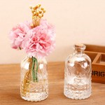 Set of 3 Antique-Style Clear Glass Embossed Apothecary Bottles with Cork Lids - BYRAK810B