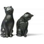 Danya B. Decorative Cat Bookend Set for Cat Lovers in Black Great Gift for The Feline Fan Child or Adult Home or Office Bookcases Display Shelves or for Pet Store Owner or Groomer - BKNWR0KUG
