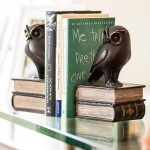 Danya B. Owl Bookends Decorative Rustic Bookshelf Decor Owls Bookend Set for Heavy Books Bronze Finish - BTAWKQ6M1