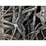 Mangrove II Drawing by Dawn Rosendahl ~Original Pencil Drawing - BGLHQIG8N