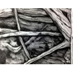 Mangrove V Drawing by Dawn Rosendahl ~Original Pencil Drawing - BERM4WYJ9
