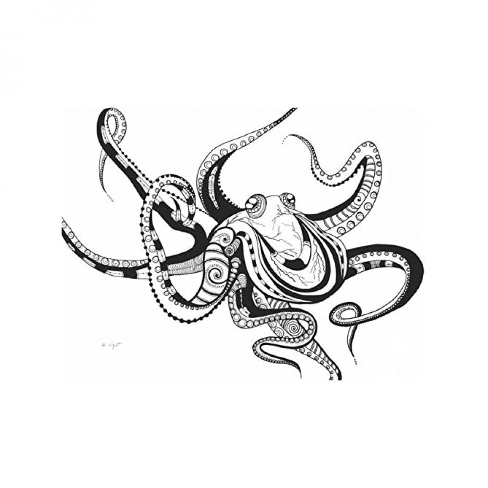 Octopus Pen and Ink Drawing Print - B8O2V9ZTL