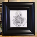 Original art wall Black and white drawing stippling pointillism artwork Rose flower - B239DH4KV