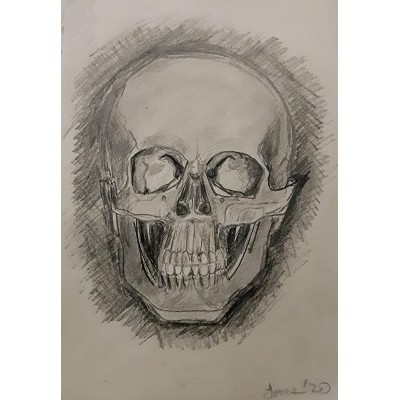 Original Drawing of a Human Skull - B46C3M9T2