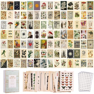 100PCS Vintage Photo Wall Collage Kit Aesthetic Posters Double-Sided Printed Botanical Illustration Tarot Aesthetic Pictures for Cottage Core Vintage Room Decor Vintage Set of 200Pictures - B7JRUY3SQ