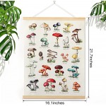 Armindou Vintage Aesthetic Plant Poster Set of 3 With Frames, Herbarium Prints Hanging Posters for Bedroom Aesthetic Decor Cottage Core Mushroom Cactus Fungi Canvas Art Wall Decor 16 x 22 - BU0YKCJTW
