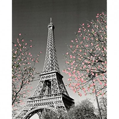 Culturenik Paris Eiffel Tower Blossoms Decorative Photography Travel City Poster Print Unframed 16x20 - BS7U0AW6W