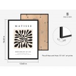 Haus and Hues Matisse Poster and Abstract Art Prints Henri Matisse Prints and Art Exhibition Poster | Matisse Paper Cutouts Aesthetic Art Drawing Black Plant Clover Matisse Framed Black 12x16 - B6GV1VJS6