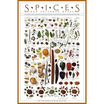 Spices and Culinary Herbs Curry Garam Masala Parsley Sage Rosemary Thyme Ginger Pickling Garlic Cumin Paprika Cayenne Basil Cilantro Herbs de Provence Print Poster 24x36 - BP8T9SIA2