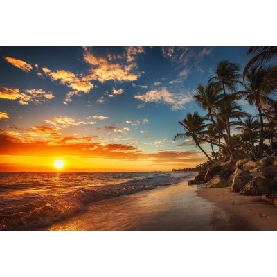 Sunrise Over Tropical Beach Palm Tree Ocean Photo Photograph Sunset Island Poster Tropical Nature Scene Palm Tree Scenic Relaxing Calm Sea Waves Sand Beautiful Cool Wall Decor Art Print Poster 36x24 - BNQ4DJZPV