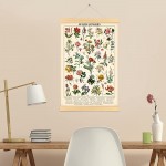Vintage Wildflowers Poster Botanical Wall Art Prints Colorful Rustic Style of Floral Wall Hanging Illustrative Reference Flower Chart Poster for Living Room Office Bedroom Decor Frame 15.7 x 23.6 Inch - BJWXUEVUX
