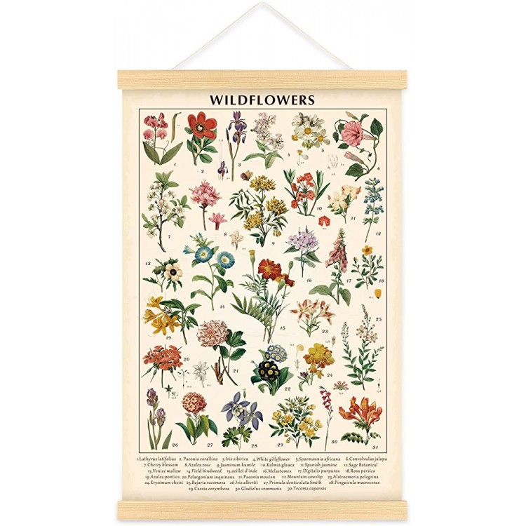 Vintage Wildflowers Poster Botanical Wall Art Prints Colorful Rustic Style of Floral Wall Hanging Illustrative Reference Flower Chart Poster for Living Room Office Bedroom Decor Frame 15.7 x 23.6 Inch - BJWXUEVUX