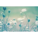 Botanical Photographic CANVAS Print Dreamy Wall Art Nature Photography Teal Bathroom Decor Ethereal Green Bedroom Decor Queen Anne's Lace Ready to Hang - BDPXCHANI