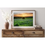 Country Photography Print Not Framed Picture of Lone Tree in Field of Bluebonnets at Sunset on Spring Evening in Texas Wildflower Wall Art Farmhouse Decor 4x6 to 40x60 - BEILBDYTZ