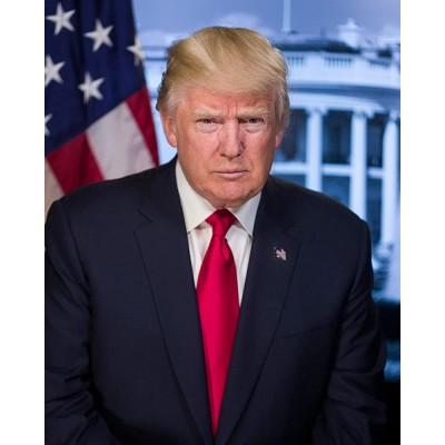 Frame a Patent Donald Trump Photograph Historical Artwork from 2016 US President Portrait 8" x 10" Semi-Gloss - BPP9OQD3W
