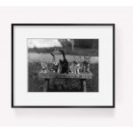 INFINITE PHOTOGRAPHS Photo: Four of a Kind,a Spade,Kittens,Striped,Black cat,c1905 - BMXEWHMSW