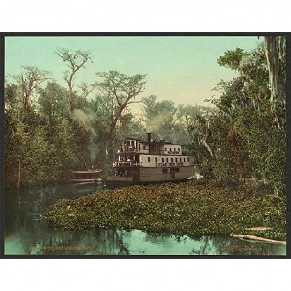 INFINITE PHOTOGRAPHS Photo: On The Ocklawaha,Lucas New Line,Steamboat,Lake,River,Swamp,Florida,FL,c1902 - B9W1SMVIP