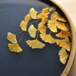 Artsminisce 100% Handmade Silk Embroidery Round Bamboo Framed Japanese Traditional Golden Ginkgo Tree White Crane Oriental Art Asian Home Decoration Artwork Picture Gifts Crafts Decor Wood - BL9O6BSMZ