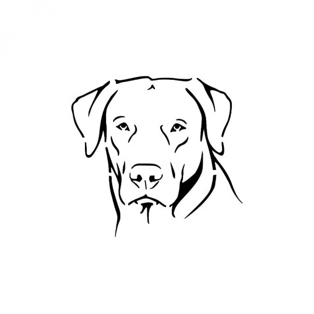 LABRADOR Dog Breed Face Retriever 8.5 x 11 Stencil 20 Mil Plastic Sheet NEW S143 - BOKIJY84J