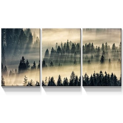 Denozer 3 Panels Canvas Wall Art Misty Forests of Evergreen Coniferous Trees in an Ethereal Landscape Painting Artwork for Home Decor Stretched and Framed Ready to Hang 20"x30"x3 Panels - B10ZVKX1N