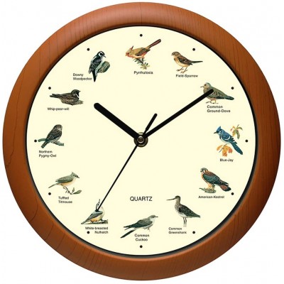 Belinlen Singing Bird Wall Clock 12 Inch of The Bird Names and Songs - BE6DPUJGN