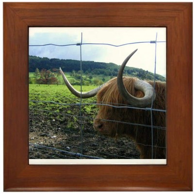 CafePress Highland Cow Framed Tile Framed Tile Decorative Tile Wall Hanging - BMDVE86ME