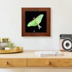 CafePress Luna Moth Framed Tile Framed Tile Decorative Tile Wall Hanging - B7VQ0UEHM