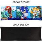 Franco Kids Bedding Super Soft Microfiber Zippered Body Pillow Cover 54 in x 20 in Sonic The Hedgehog - BHKTEBTOP